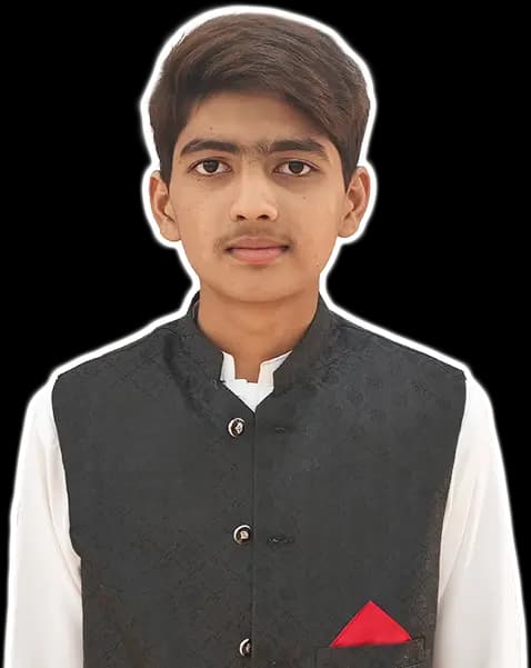 Arman Ali - Junior Web & Signature Assistant